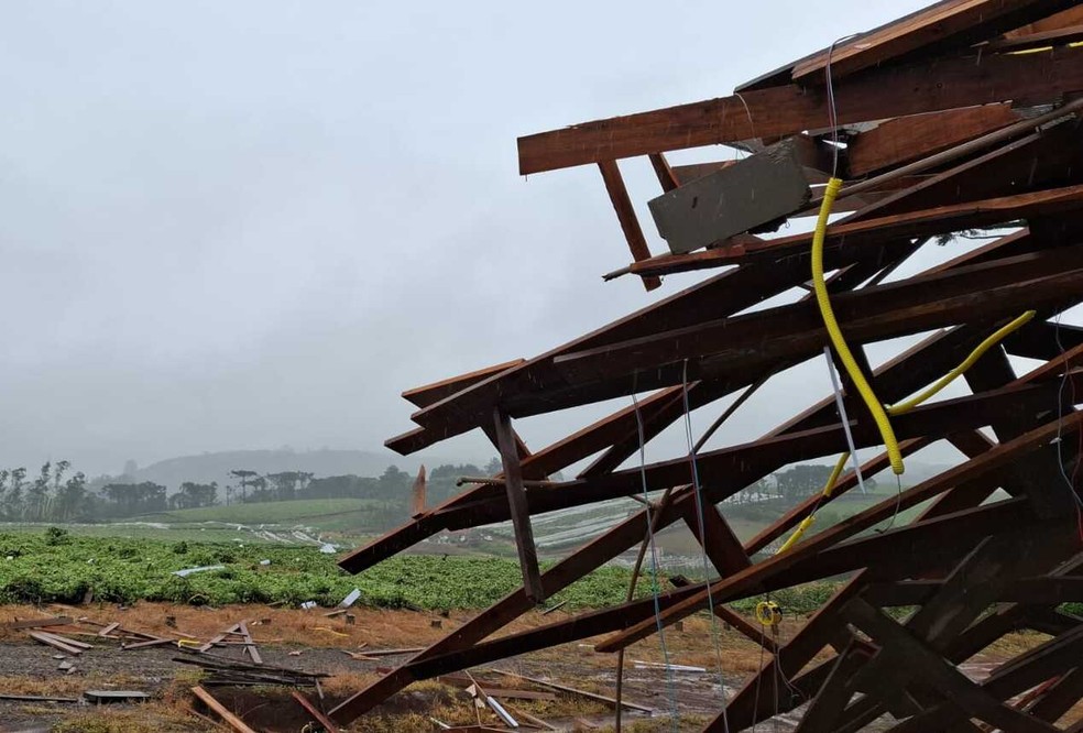Galpão foi destruído pelo ciclone — Foto: Emater-RS/Divulgação