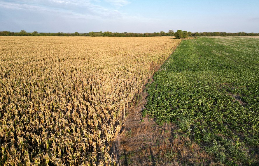 Redução ocorre pela menor produção de grãos na Argentina devido à seca histórica em 2022/23