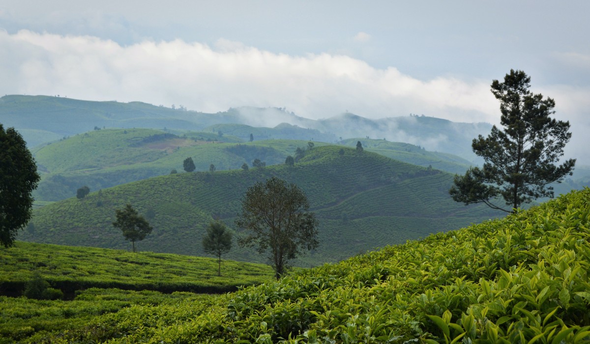 Aproximar pessoas para espalhar bons exemplos