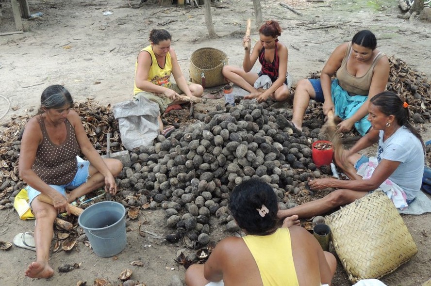 Número de produtores orgânicos cai pela primeira vez em 13 anos no