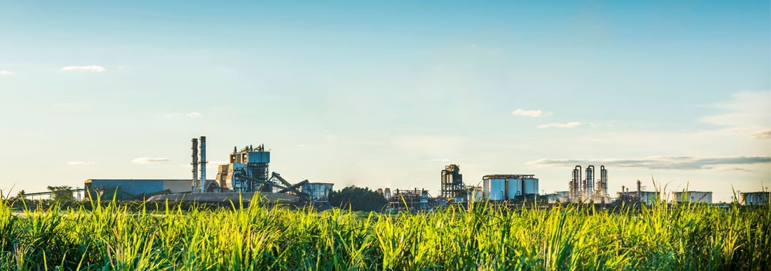 Atvos considera investir R$ 2 bi em etanol de milho em Mato Grosso do Sul