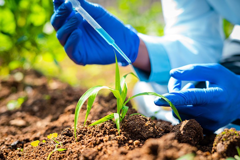 Projeto que regulamenta bioinsumos será enviado ao Senado nesta semana