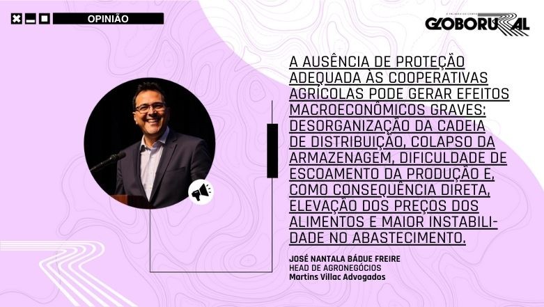 A necessária proteção às cooperativas agrícolas do Brasil