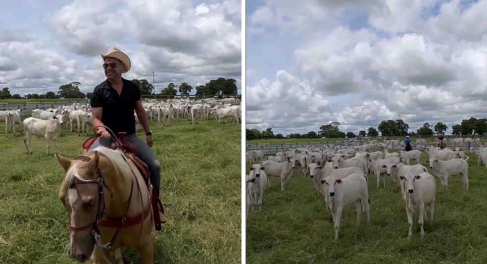 Fazenda É o Amor, em Goiás, possui 1500 hectares — Foto: Instagram/ Reprodução