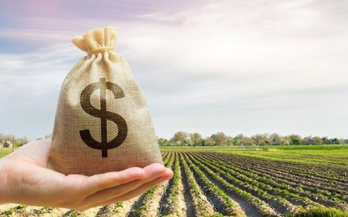 Desembolsos do crédito rural caíram 30% no primeiro trimestre da safra