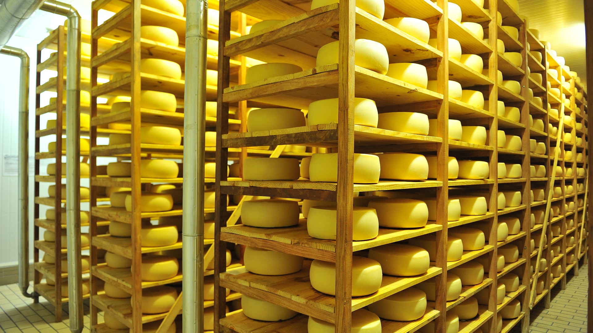 Savencia, dona da Polenghi, anuncia compra da Quatá Alimentos