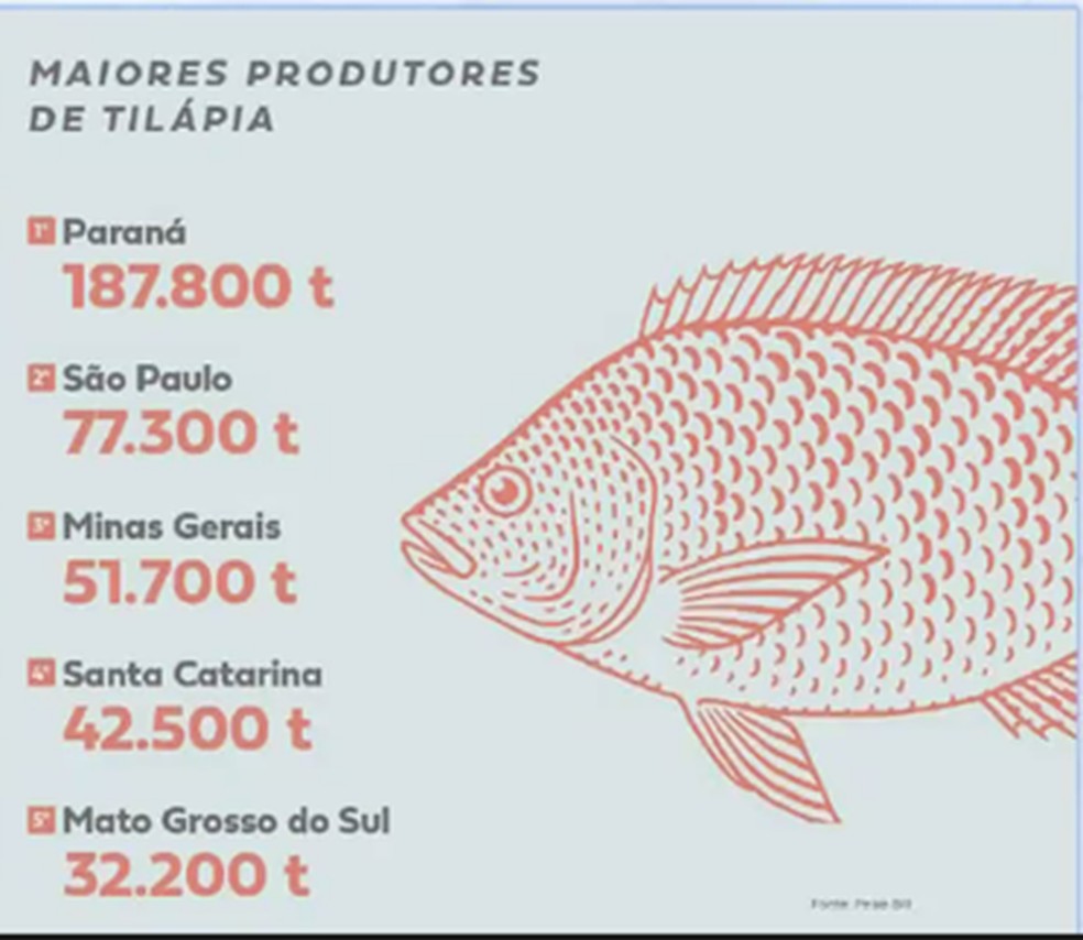 Produtores de cana-de-açúcar e de pescado ganham mais limite de crédito