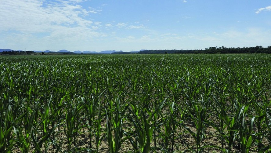 Terras devem ter preços estáveis