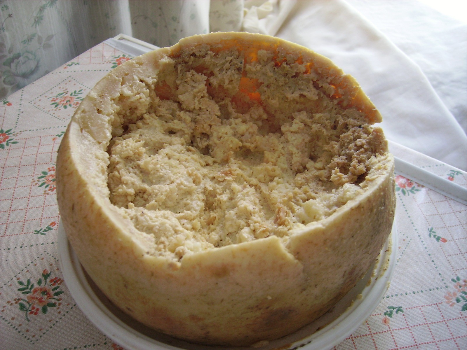 Queijo mais perigoso do mundo contém larvas vivas e foi proibido no próprio país de origem