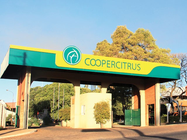 Yara e Coopercitrus firmam parceria para descarbonização no cacau e café
