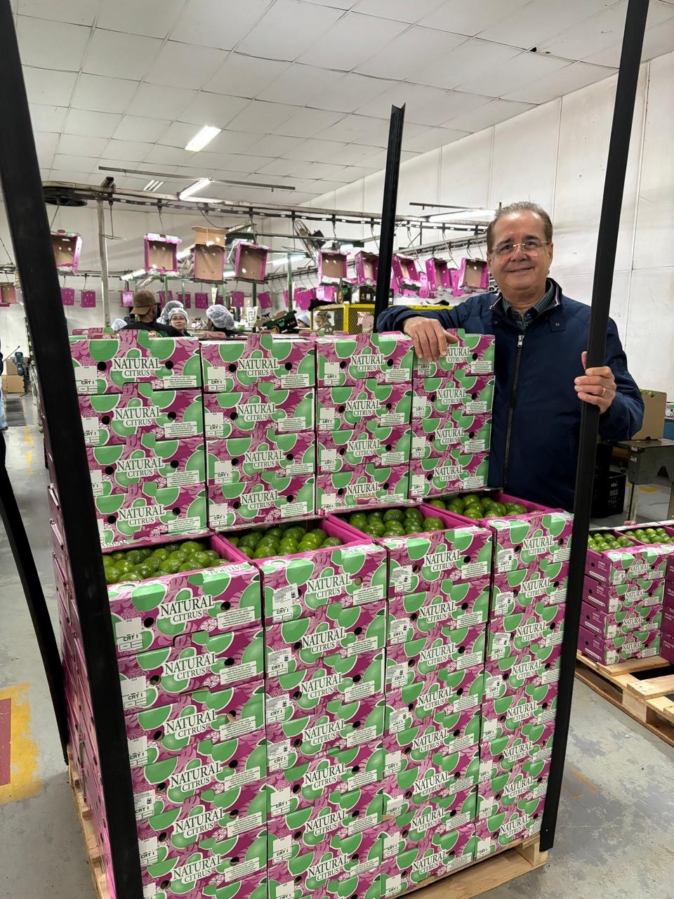 Ex-executivo de varejo se torna produtor e exportador de limão