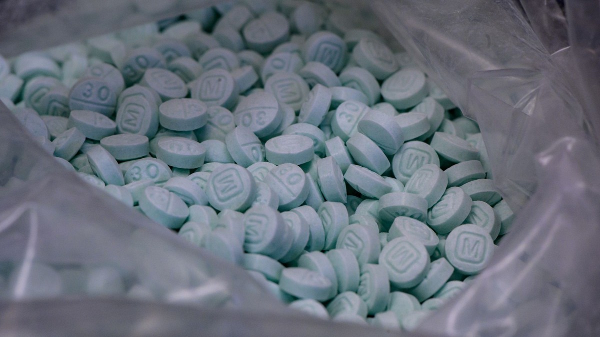 Fentanil: entenda como o medicamento é usado na saúde animal