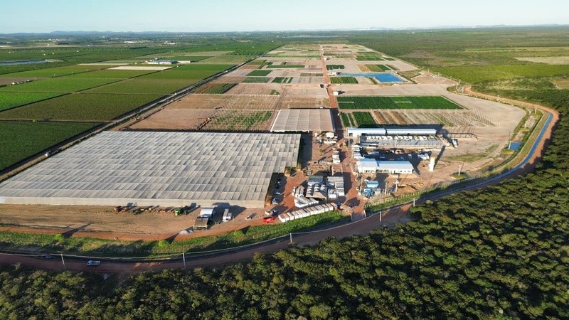 GDM anuncia expansão de centro de pesquisas em Pernambuco