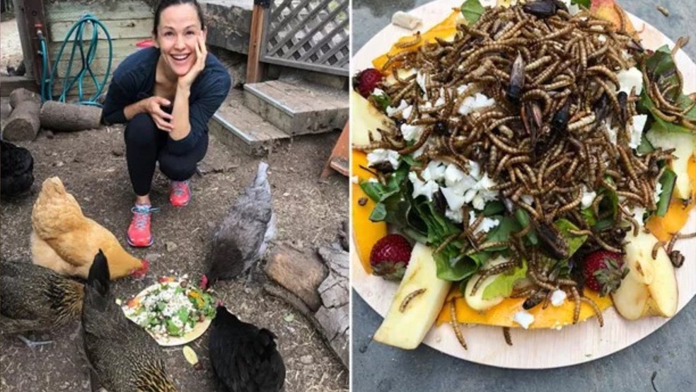 Atriz tem galinhas de estimação — Foto: Instagram/ Reprodução