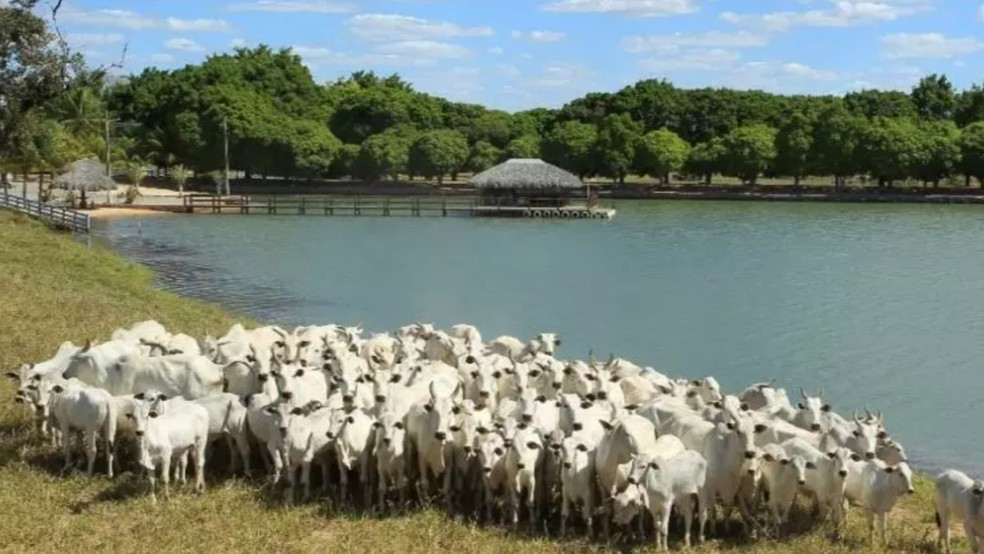 O tamanho da fazenda de Zezé di Camargo equivale a 1.388 campos de futebol  — Foto: Reprodução/ Instagram