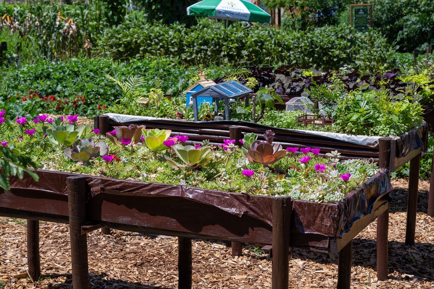 Jardim pequeno: como planejar, decorar e aproveitar cada metro com inteligência 8 Image