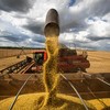 Para 2025, a expectativa é de um crescimento de 7,4% do Valor Bruto da Produção em relação a 2024, afirma a CNA - Wenderson Araujo/CNA