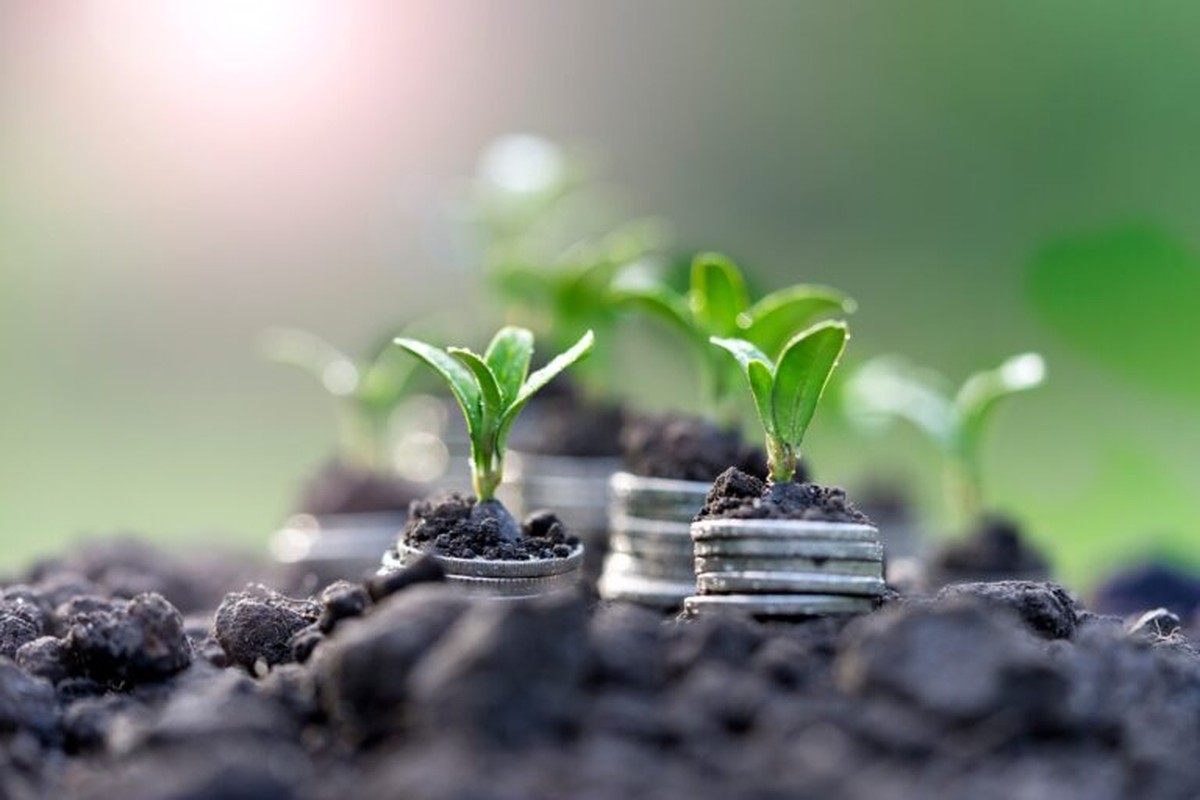 Setor de bioinsumo cresceu quatro vezes desde 2020