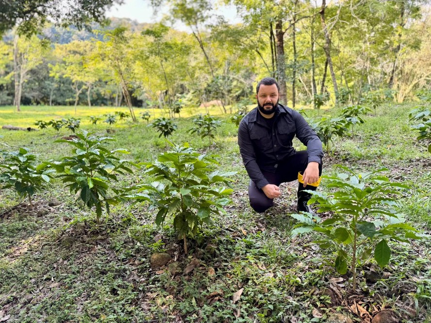 Após descobrir mudas de café em Vera Cruz (RS), Diego Weigelt passou a investir na produção do grão