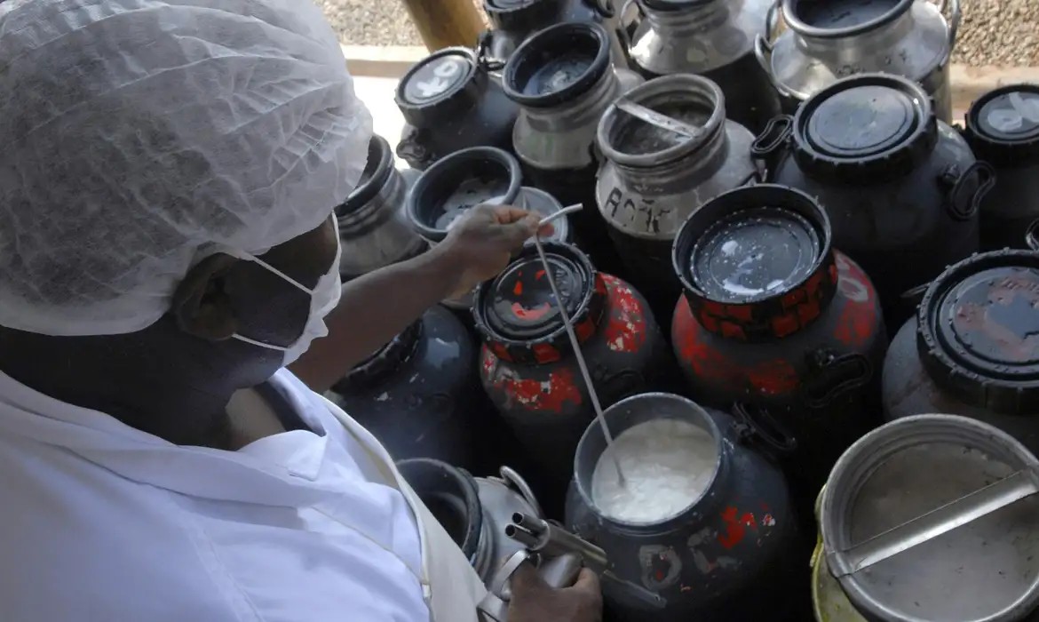 CMN aprova linha de crédito para capital de giro a cooperativas de leite via Pronaf