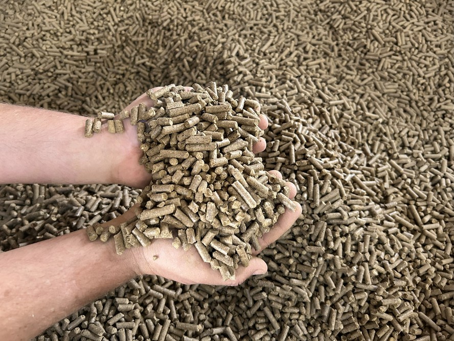 Pellets produzidos pela Bricofee a partir da borra de café