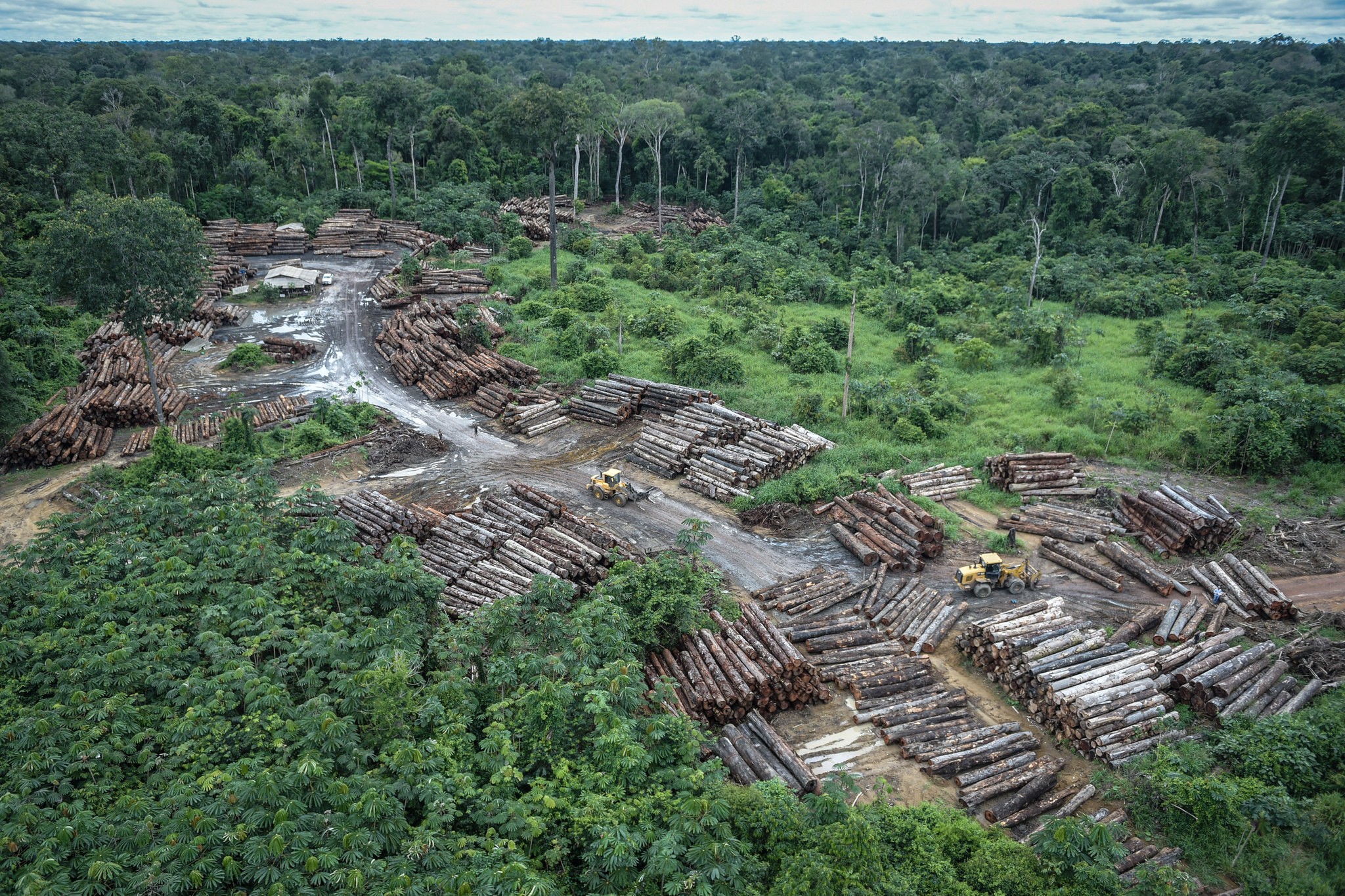 Amazônia tem menor índice de alertas de desmatamento da década