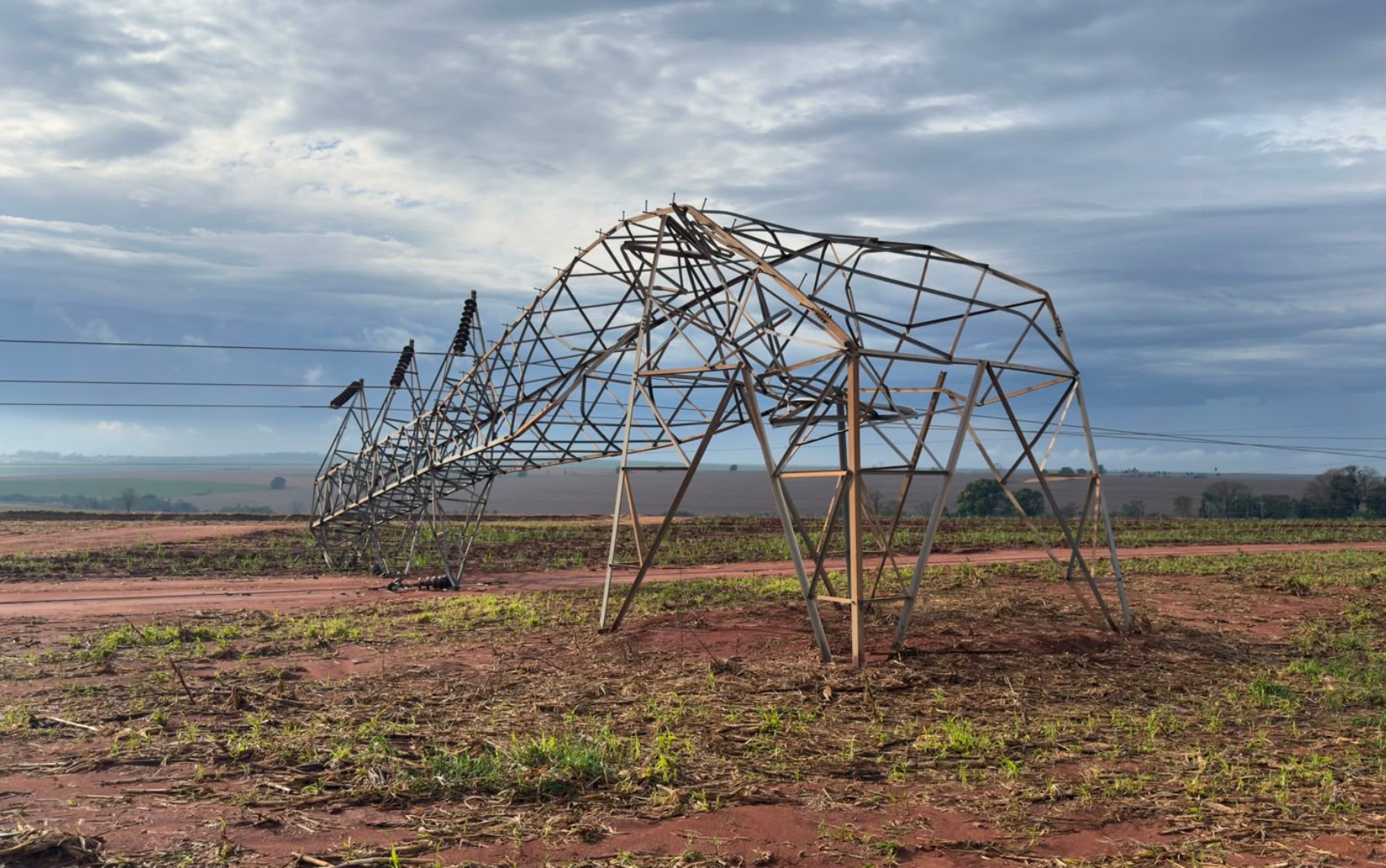 Força-tarefa levanta danos de temporal aos produtores rurais da região de Ribeirão Preto