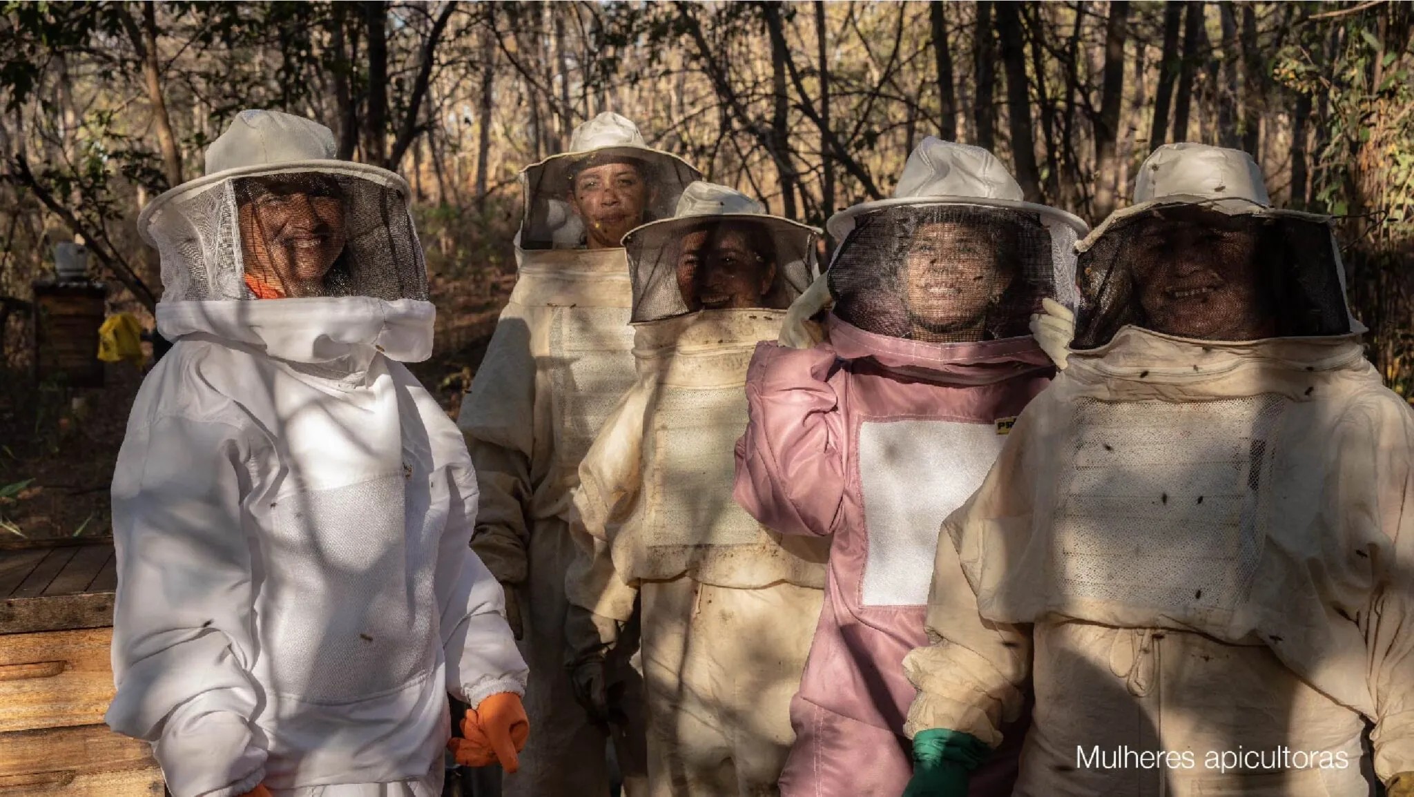 Produtores de mel de MG negociam abertura de mercado na Suíça