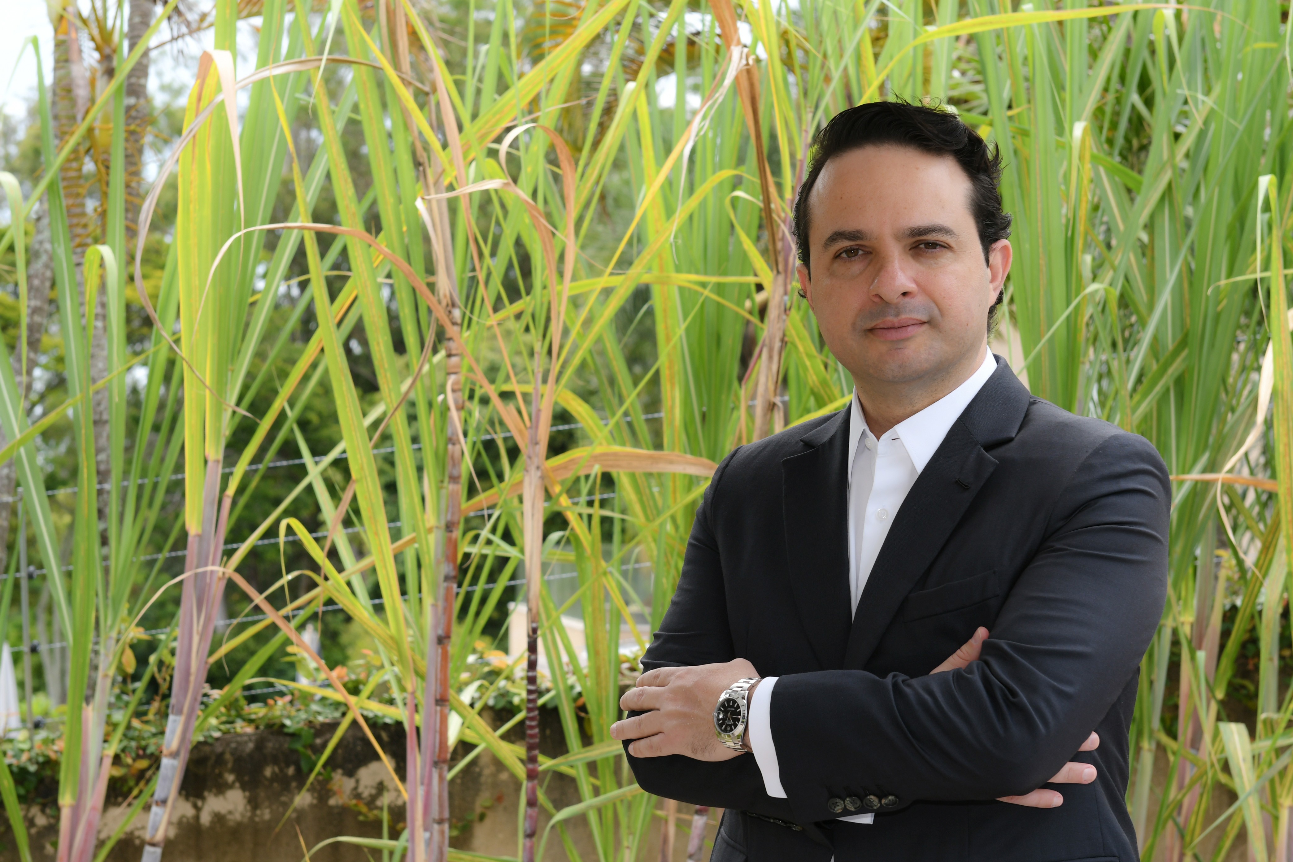 Produtores de cana de três regiões fecham acordo com a Unica