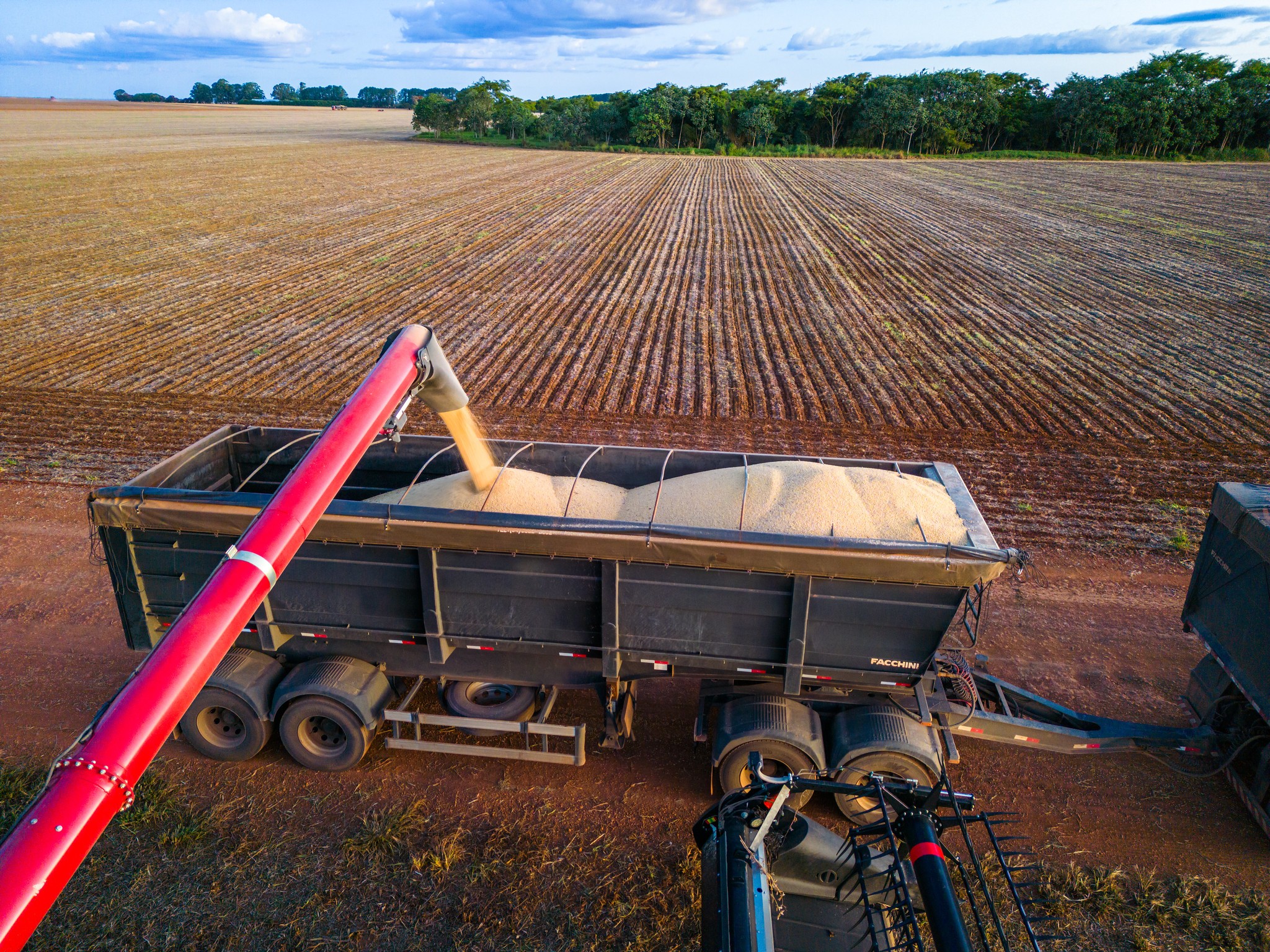 Produtores de soja dão início à colheita da safra 2024/25