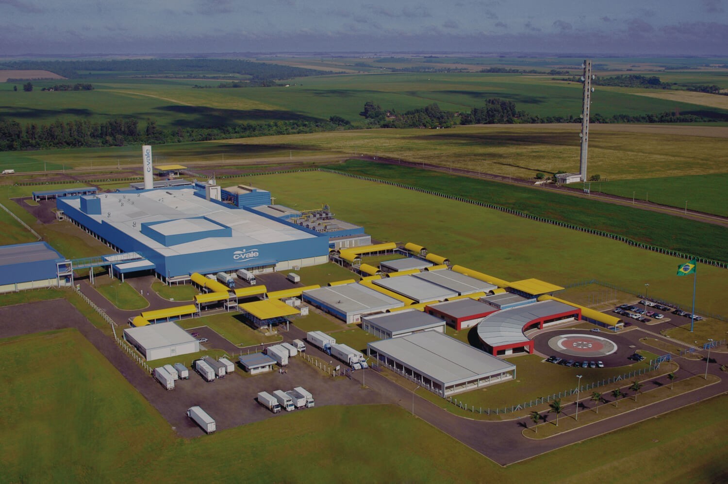 Faturamento da C.Vale caiu 10% em 2024, para R$ 21,9 bilhões