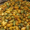 Mesmo com forte alta nesta quinta-feira, tendência é de preços mais baixos para o cacau em Nova York - Mágio Chocolates/Divulgação