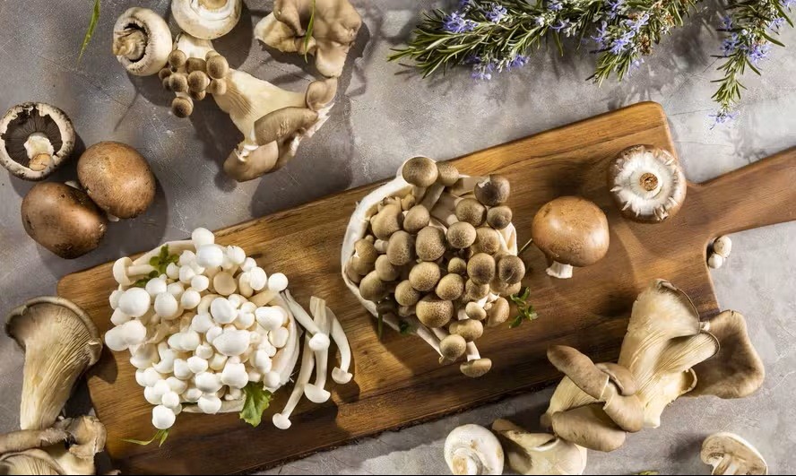 Produção de cogumelo no Brasil cresce e quase 'empata' com importação