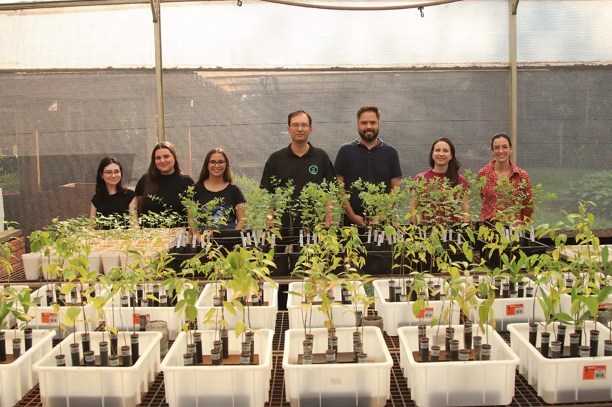 Nanotecnologia sustentável promete proteger lavouras da seca