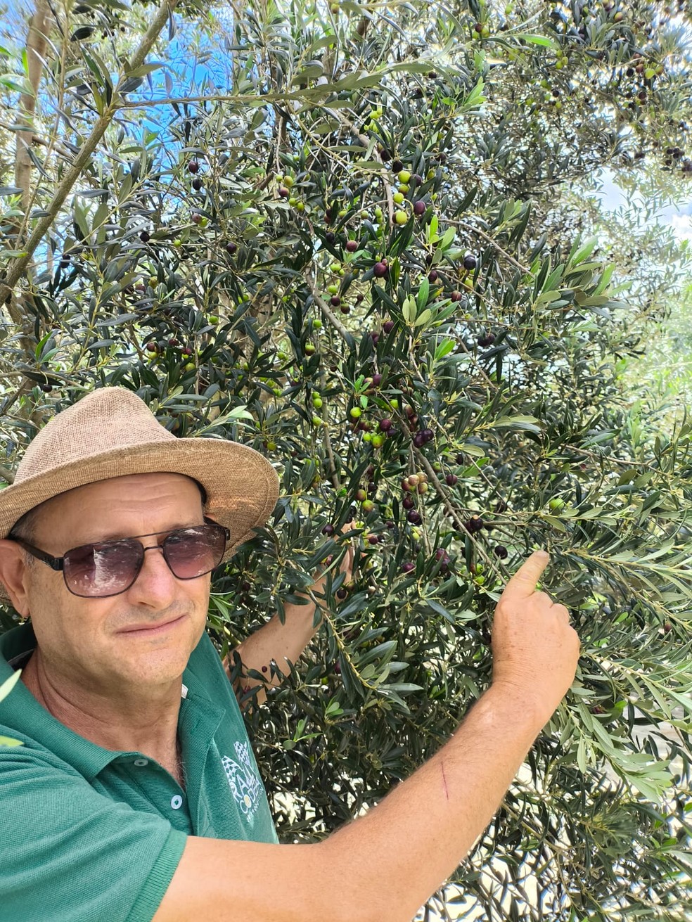 João Thadeu Loureiro, de Palmas (PR), cultiva oliveiras há cinco anos — Foto: Arquivo pessoal