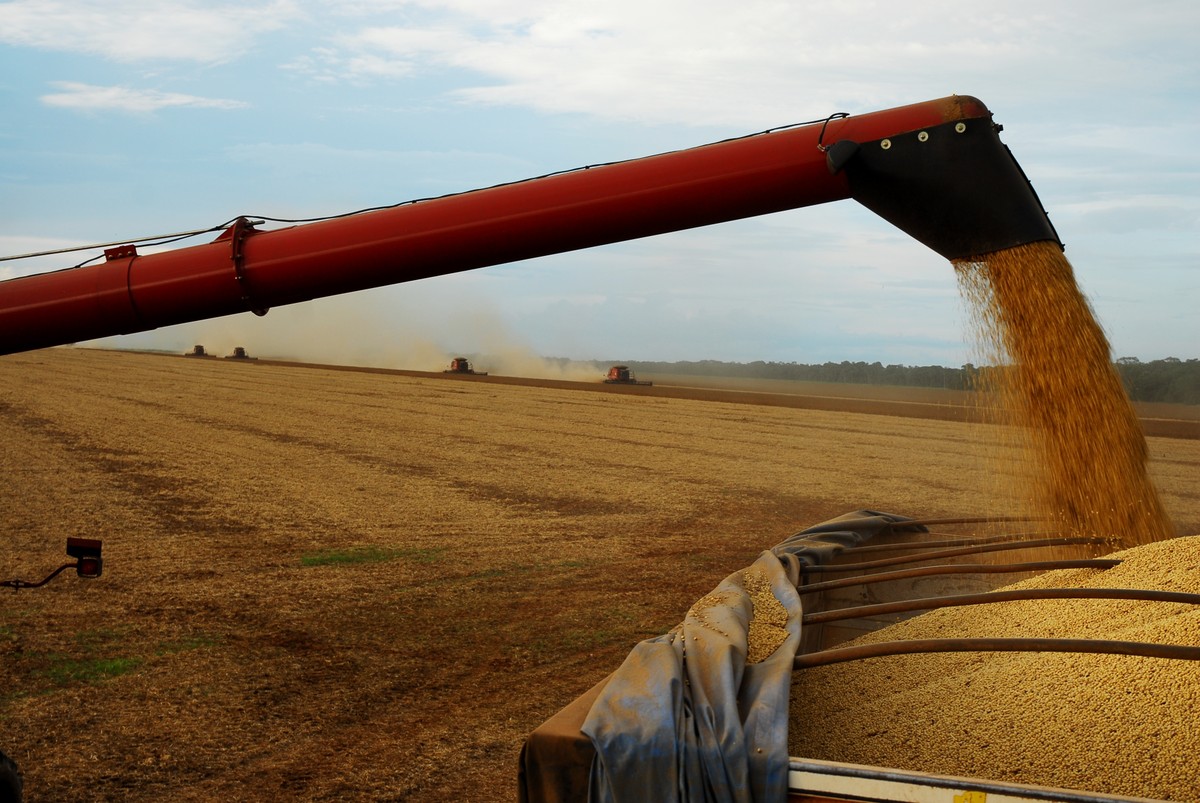 Grupo agropecuário em recuperação judicial
