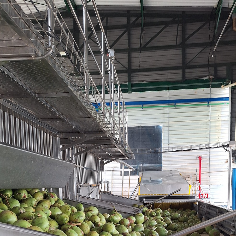 Fábrica da Kero Coco em Petrolina (PE) — Foto: Carolina Mainardes/Globo Rural