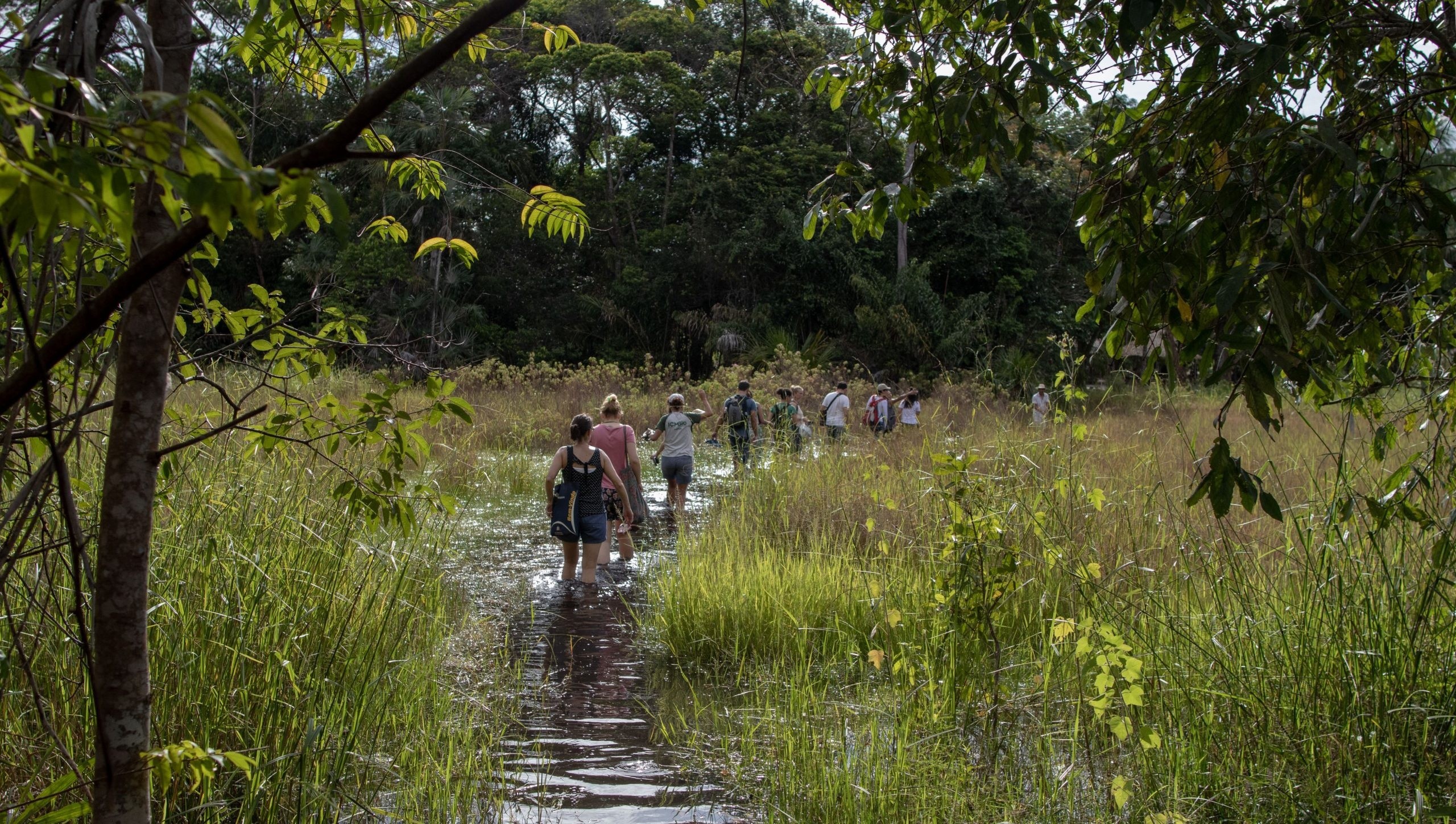 Parceria fortalece pesquisas sobre biodiversidade na Amazônia