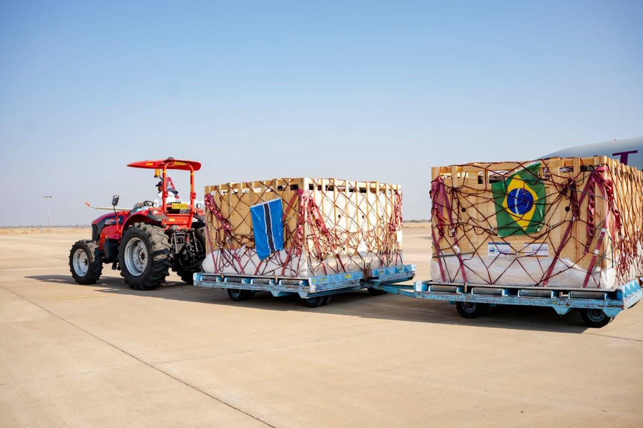 Brasil faz primeira exportação de genética bovina para Botswana