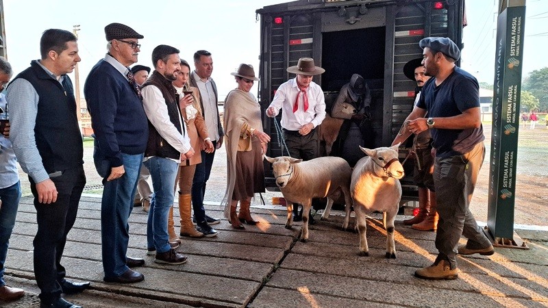 Primeiros animais chegam ao parque da Expointer no RS