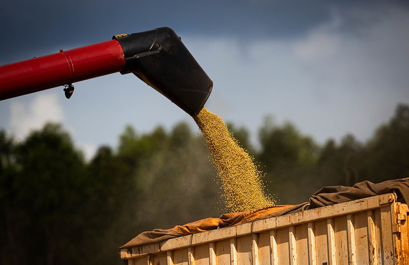 Colheita de soja vai a 4,7% da área no Brasil