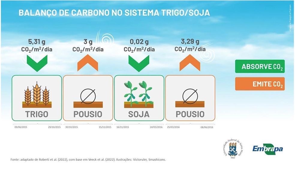 Pesquisa mostra que cultura do trigo absorve mais CO2 do que emite