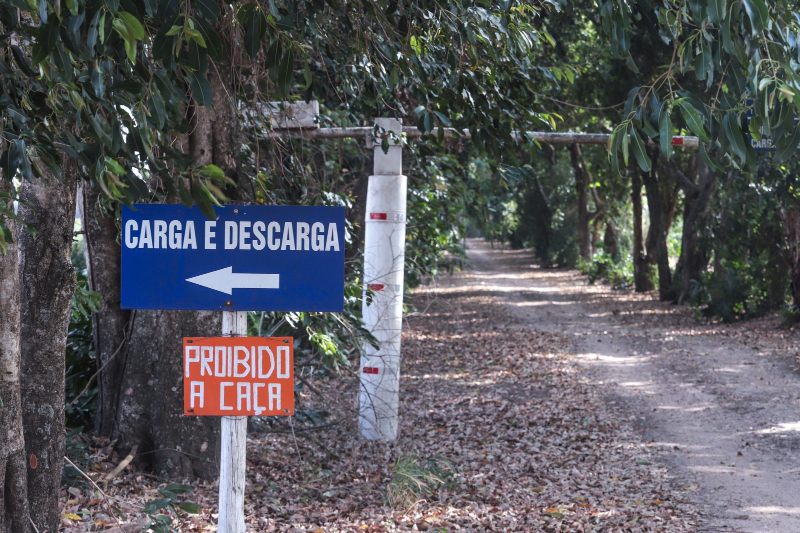 Foto: Ricardo Benichio