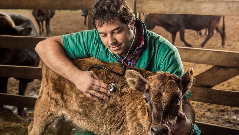 Exercício ilegal da Medicina Veterinária passa a ser crime no Brasil