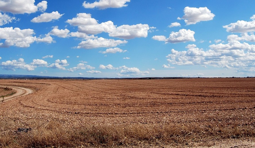 Nova proposta de seguro rural gera dúvida entre empresas do setor
