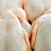 Kuwait, Bahrein, Albânia e Turquia retiraram as restrições à importação de carne de frango brasileira - Canva/Creative Commons