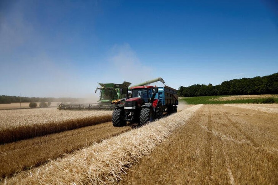 Revisões de safras em importantes regiões produtoras de trigo deram ímpeto para os preços