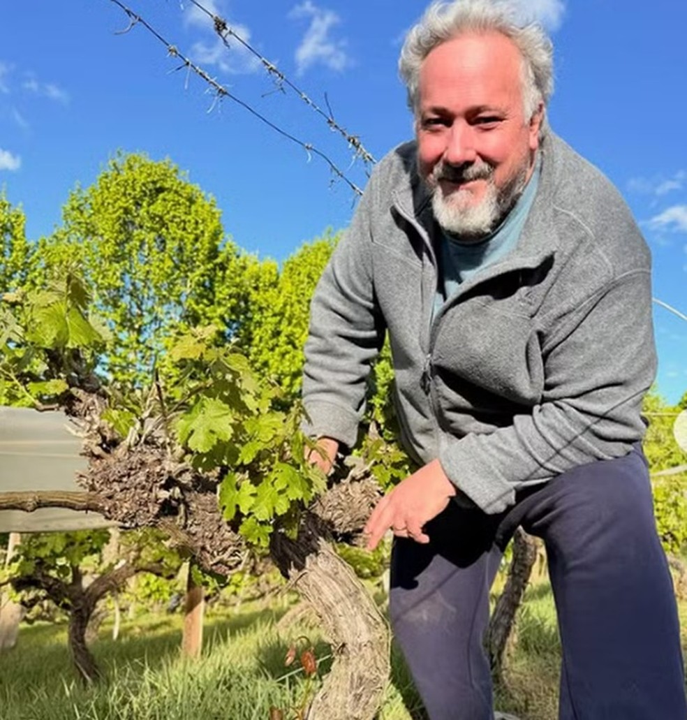 O produtor Rodrigo Veraldi, do Viveiro Frutopia, iniciou no Brasil o plantio de minikiwis , versão da fruta que se diferencia do kiwi mais conhecido por ser do tamanho de um grão de uva — Foto: Divulgação/Viveiro Frutopia