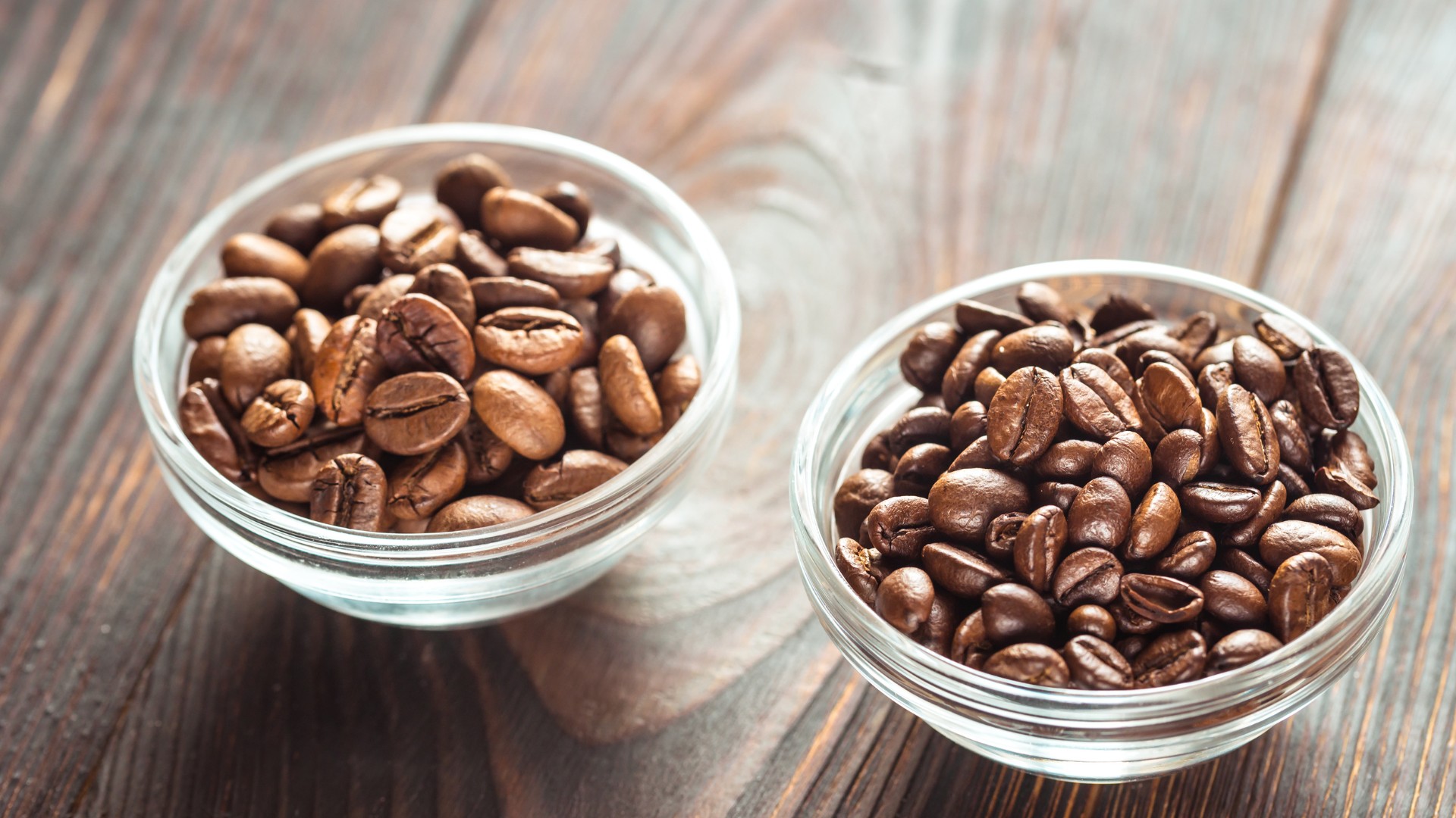 Café especial da espécie canéfora terá concurso de qualidade