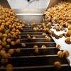 Ministro diz que as próprias tradings entenderam que a Moratória tomou dimensão "exagerada" - Wenderson Araujo/CNA